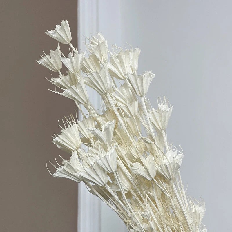 Bluejw Natural Star Anise & Oriental Nigella Dried Flowers - Colorful Dried Plants for Christmas & Easter Decor - Image 1