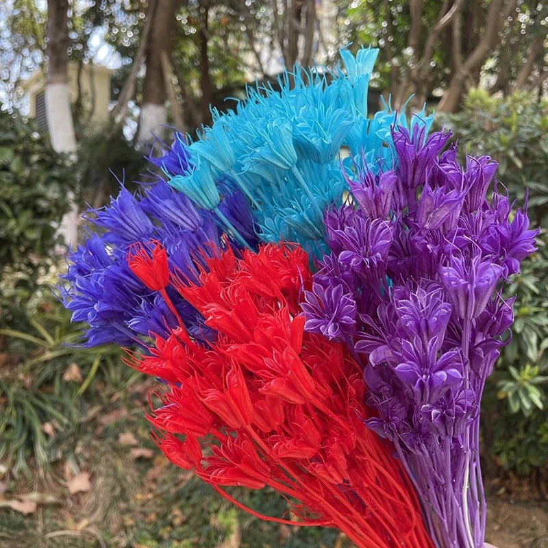 Bluejw Natural Star Anise & Oriental Nigella Dried Flowers - Colorful Dried Plants for Christmas & Easter Decor - Image 3