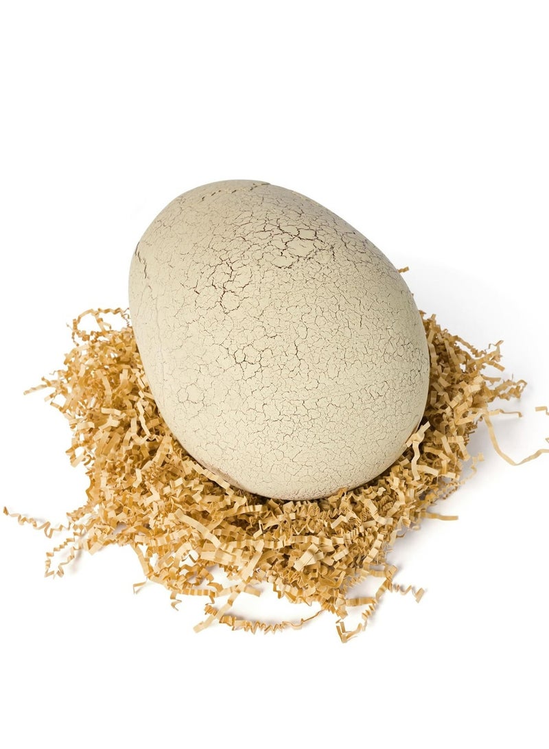 Jurassic World Primal Hatch T. Rex Specimen Toy - Image 2