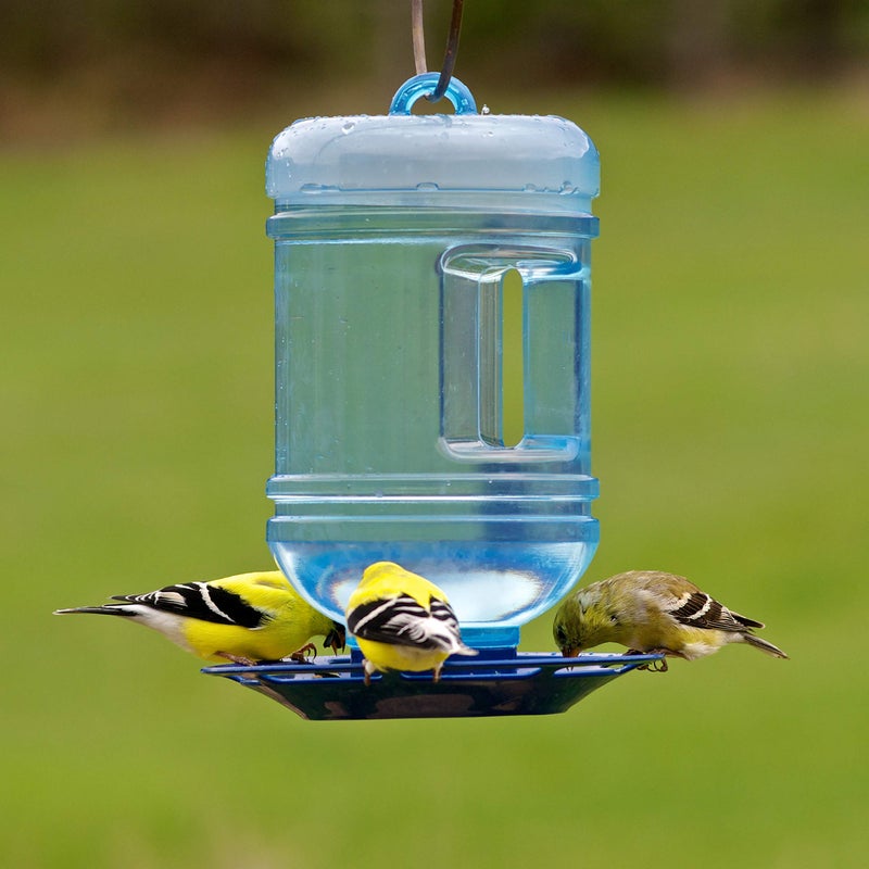 Perky-Pet Hanging Water Cooler Bird Waterer and Dispenser - 48 fl oz Capacity - Attract More Birds with Water - 780 - Image 5