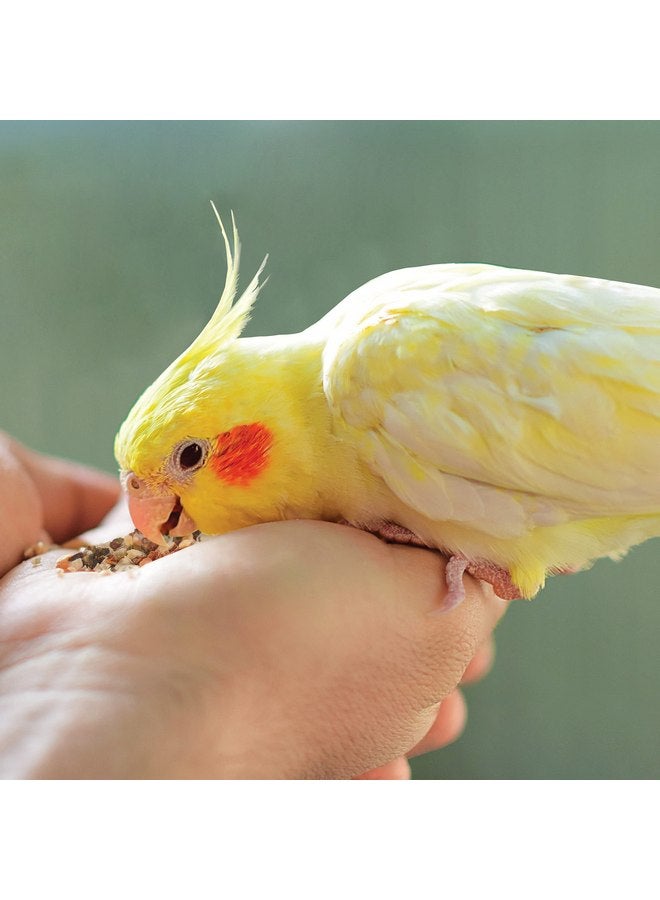 كايتي وجبات خفيفة طبيعية من كايتي فود فروم ذا وايلد للطيور الأليفة، 3 أونصة - Image 3