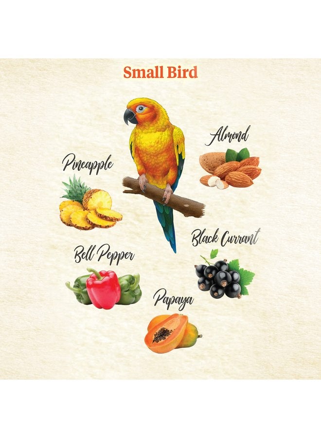 كايتي وجبات خفيفة طبيعية من كايتي فود فروم ذا وايلد للطيور الأليفة، 3 أونصة - Image 4