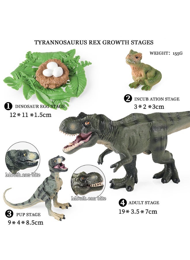 HALAMODO 4-Piece Walking T-Rex Growth Cycle Model Set (Complete Four Stages: Dinosaur Egg, Baby T-Rex, Juvenile To Adult Tyrannosaurus Rex), Highly Realistic Mini Dinosaur Animal Models, Premium Safe Plastic Material, For Children Cognitive Education, Bath And Pool Toys, Boys Girls Birthday Party Gifts - Image 1