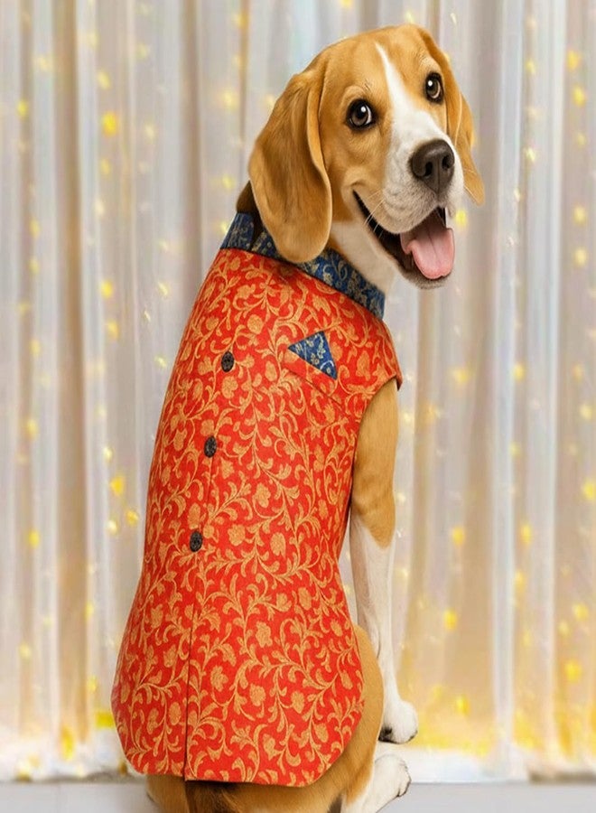 Mutt of Course Dog Kurta | Wedding Outfit for Large Dogs | for Indie and Boxer Dogs - Image 1