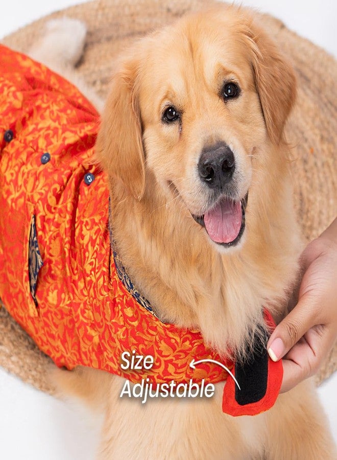 Mutt of Course Dog Kurta | Wedding Outfit for Large Dogs | for Indie and Boxer Dogs - Image 4