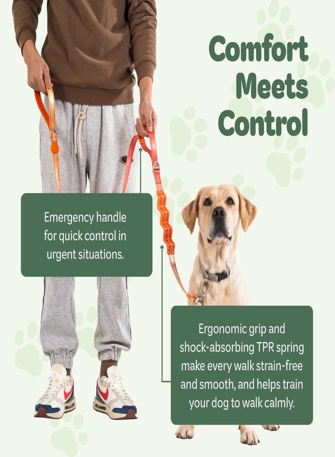 desired tools Desired Things Bungee Dog Leash Reflective Training Leash with Shock Absorbent Spring, Emergency Pull Handle, Collar Latch, D-Ring Buckle for Dog Treats, Poop Bags, Puppy Essentials - Pink and Orange - Image 2