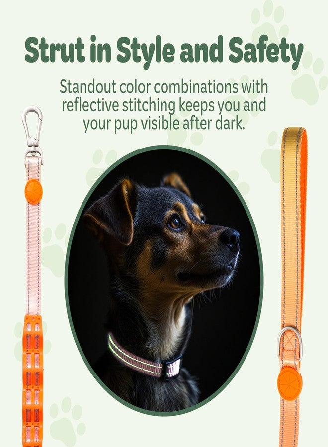 desired tools Desired Things Bungee Dog Leash Reflective Training Leash with Shock Absorbent Spring, Emergency Pull Handle, Collar Latch, D-Ring Buckle for Dog Treats, Poop Bags, Puppy Essentials - Pink and Orange - Image 5