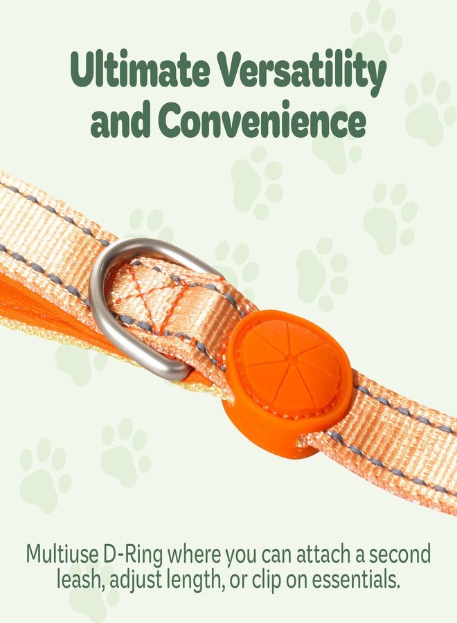 desired tools Desired Things Bungee Dog Leash Reflective Training Leash with Shock Absorbent Spring, Emergency Pull Handle, Collar Latch, D-Ring Buckle for Dog Treats, Poop Bags, Puppy Essentials - Pink and Orange - Image 4