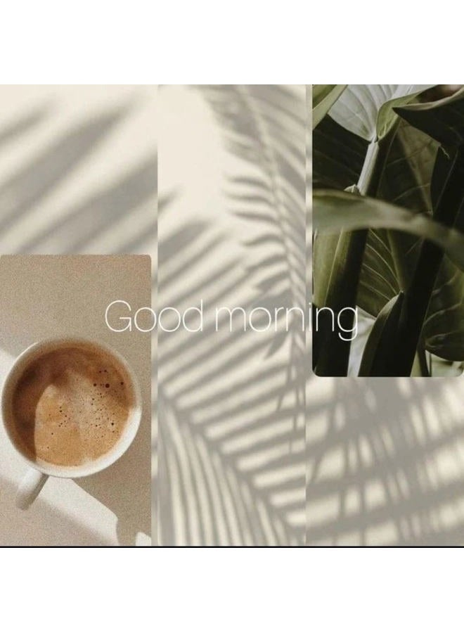 MediDate Coffee بديل القهوة MEDIDATE مع بذور التمر المحمصة، الهيل، الكافيين وبديل القهوة الخالي من الأحماض، بروبيوتيك طبيعي و بوليفينول، دعم المناعة والتركيز (12 أونصة / 25 حصة) - Image 4
