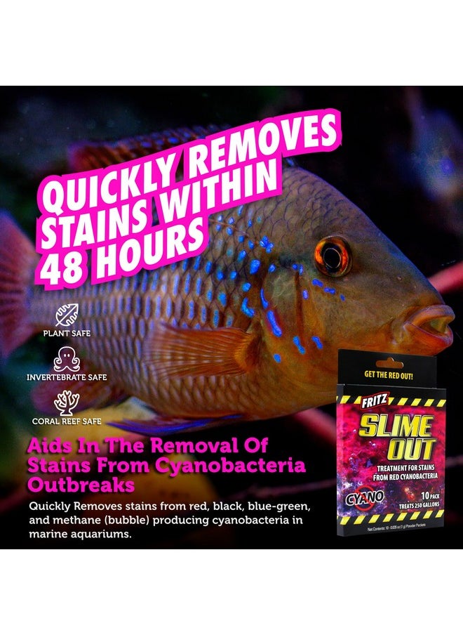 فريتز أكواتيكس علاج Fritz Aquatics Slime Out للبقع الناتجة عن البكتيريا الزرقاء الحمراء في أحواض السمك العذبة أو المالحة (10 قطع)  - Image 3