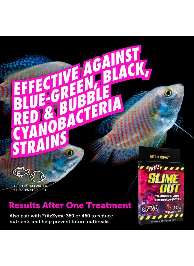 فريتز أكواتيكس علاج Fritz Aquatics Slime Out للبقع الناتجة عن البكتيريا الزرقاء الحمراء في أحواض السمك العذبة أو المالحة (10 قطع)  - Image 4