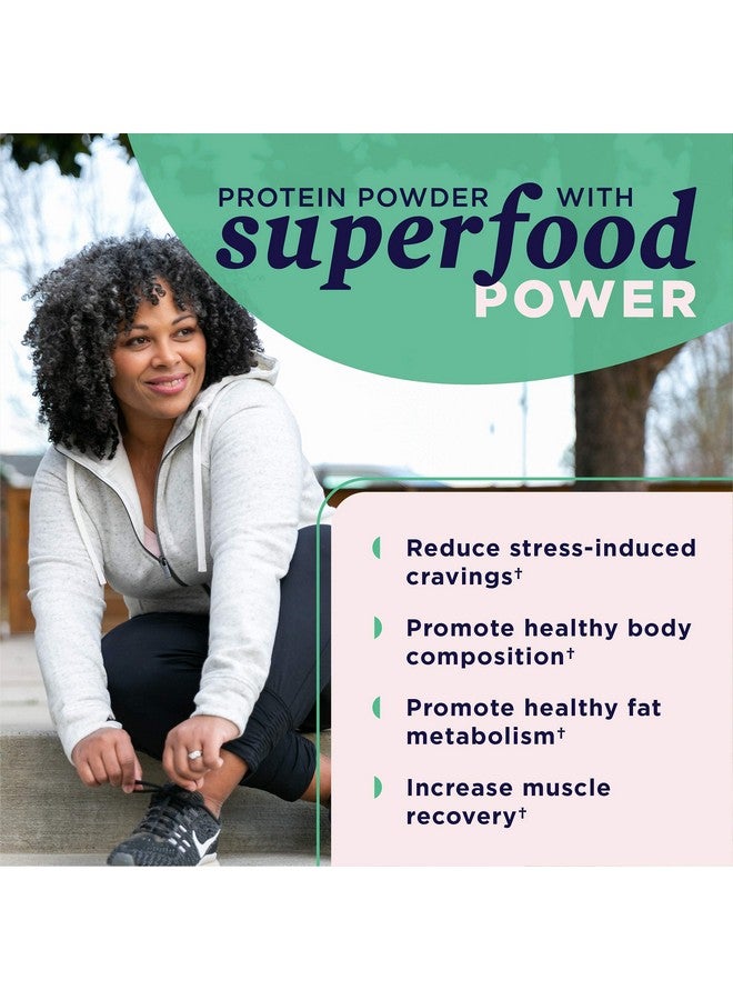 Ancient Nutrition Plant Based Protein Powder, Plant Protein+, Chocolate, Organic Vegan Superfoods Supplement, 15g Protein Per Serving, Gluten Free, Paleo Friendly 12 Serving - Image 3