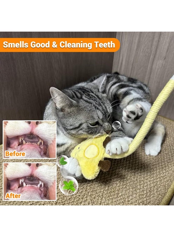 Kingtree 2 Pack Interactive Cat Chew Ropes, Cotton Rope Cat Chew Toys for Indoor Cats Teeth Cleaning, Safe Bite Resistant Catnip Rope Toys without Wire - Image 5