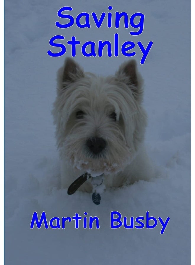 Saving Stanley: an adventure - Image 1