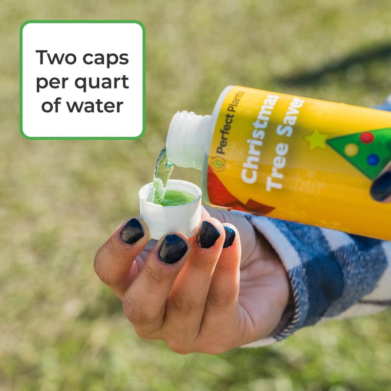 PERFECT PLANTS Christmas Tree Saver 8oz. | Easy Use Xmas Tree Preserver Food | Have Healthy Green Christmas Trees All Holiday Season - Image 5