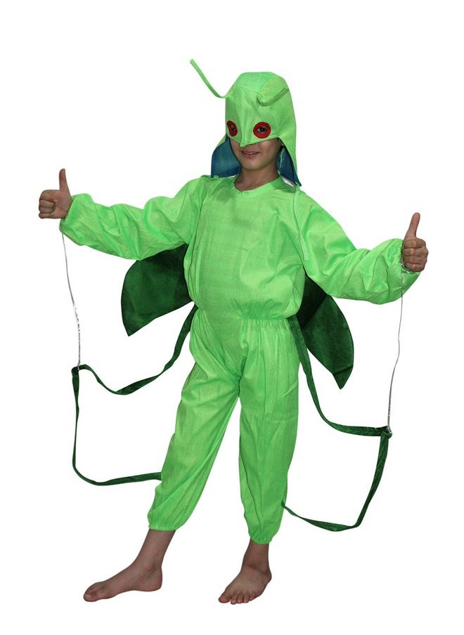 Kaku Fancy Dresses Kaku Fancy Dresses Polyester Grasshopper Insect Costume -Green, 5-6 Years, For Boys & Girls  - Image 2