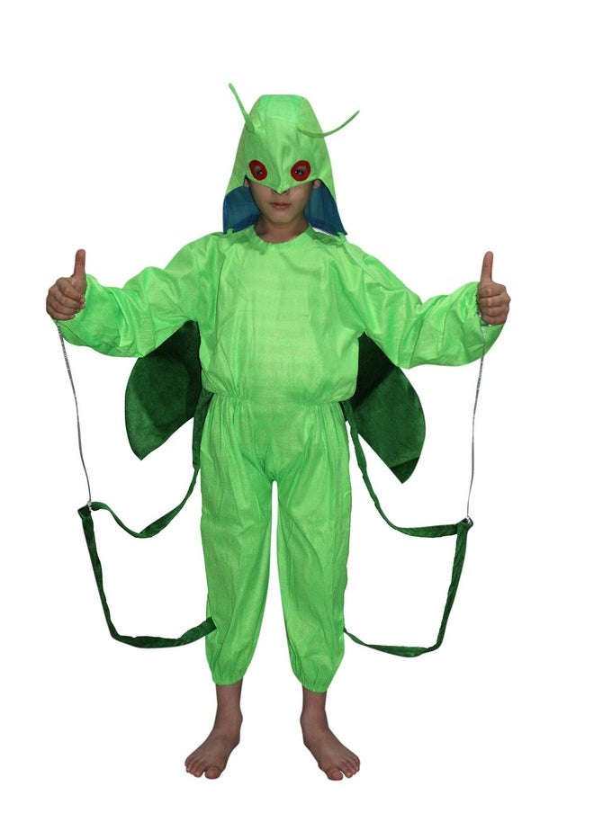 Kaku Fancy Dresses Kaku Fancy Dresses Polyester Grasshopper Insect Costume -Green, 5-6 Years, For Boys & Girls  - Image 1