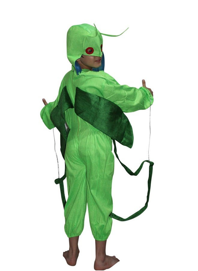 Kaku Fancy Dresses Kaku Fancy Dresses Polyester Grasshopper Insect Costume -Green, 5-6 Years, For Boys & Girls  - Image 3