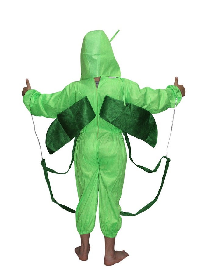 Kaku Fancy Dresses Kaku Fancy Dresses Polyester Grasshopper Insect Costume -Green, 5-6 Years, For Boys & Girls  - Image 4