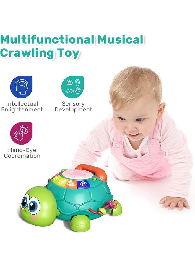YelaJoy Baby Musical Toy, Musical Turtle Baby Toys, Early Educational Developmental Toys, Baby Learning Educational Toy Musical Turtle Toy with Lights and Sounds, Pretend Phone Call  - Image 2
