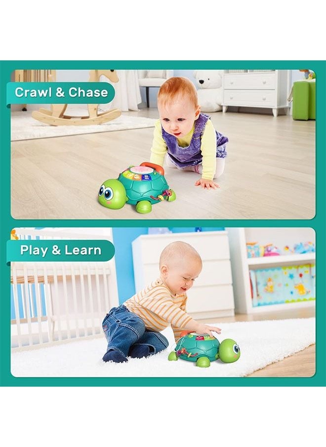 YelaJoy Baby Musical Toy, Musical Turtle Baby Toys, Early Educational Developmental Toys, Baby Learning Educational Toy Musical Turtle Toy with Lights and Sounds, Pretend Phone Call  - Image 5