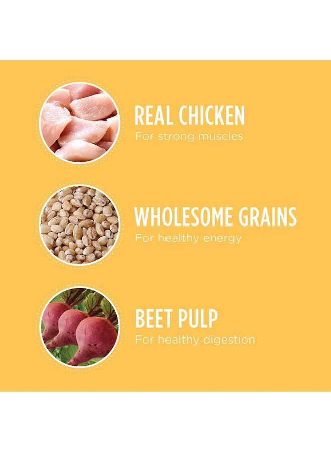 إيامز طعام جاف للجراء من Iams Proactive Health Smart Puppy، 7 رطل - Image 2