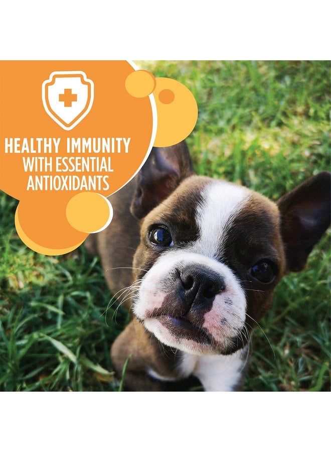 إيامز طعام جاف للجراء من Iams Proactive Health Smart Puppy، 7 رطل - Image 3