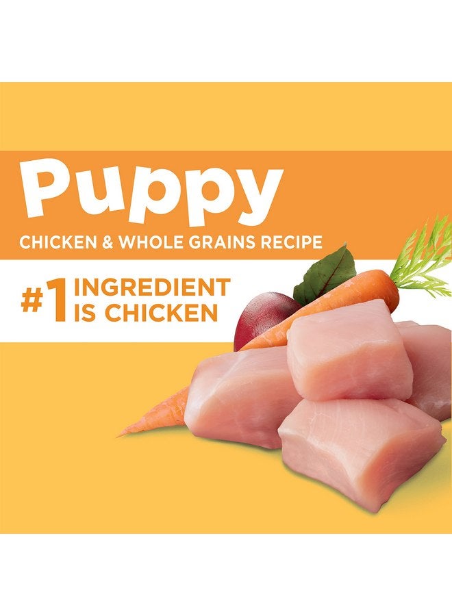 إيامز طعام جاف للجراء من Iams Proactive Health Smart Puppy، 7 رطل - Image 4