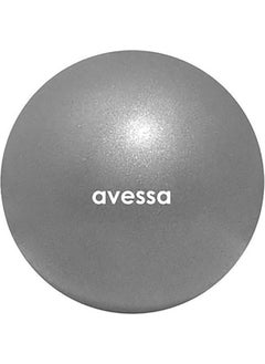 Verahed Avessa 25CM Gray Mini Pilates Ball Plates Exercise Equipment for Aerobic Cardio Gymnastics  - Image 1