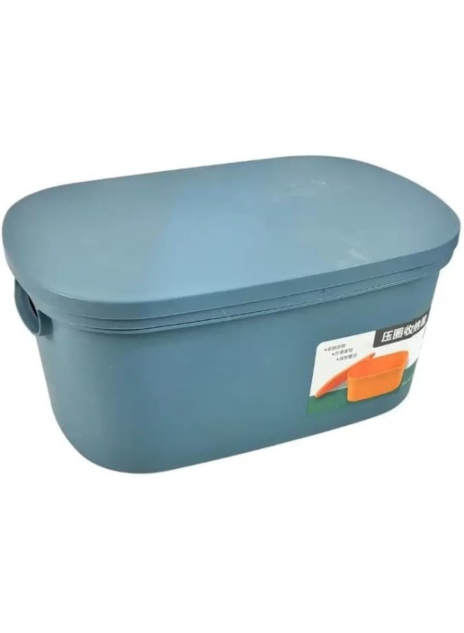 Day To Day Multipurpose Plastic Durable Basket Cabinet Organizer, Desktop Storage Bin With Handle And Lid- Blue - Image 1