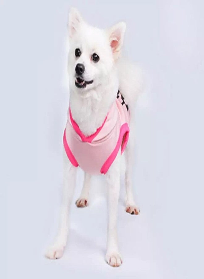 PETANGEL Polycotton Small Dog Hoodie | Spring and Autumn Casual Sports Little Diva Hoodie with Cap for Small Dogs, Puppies Cats, Small Dog Clothes Sweater Winter Sweatshirt Hoodie (Size: L) - Image 3