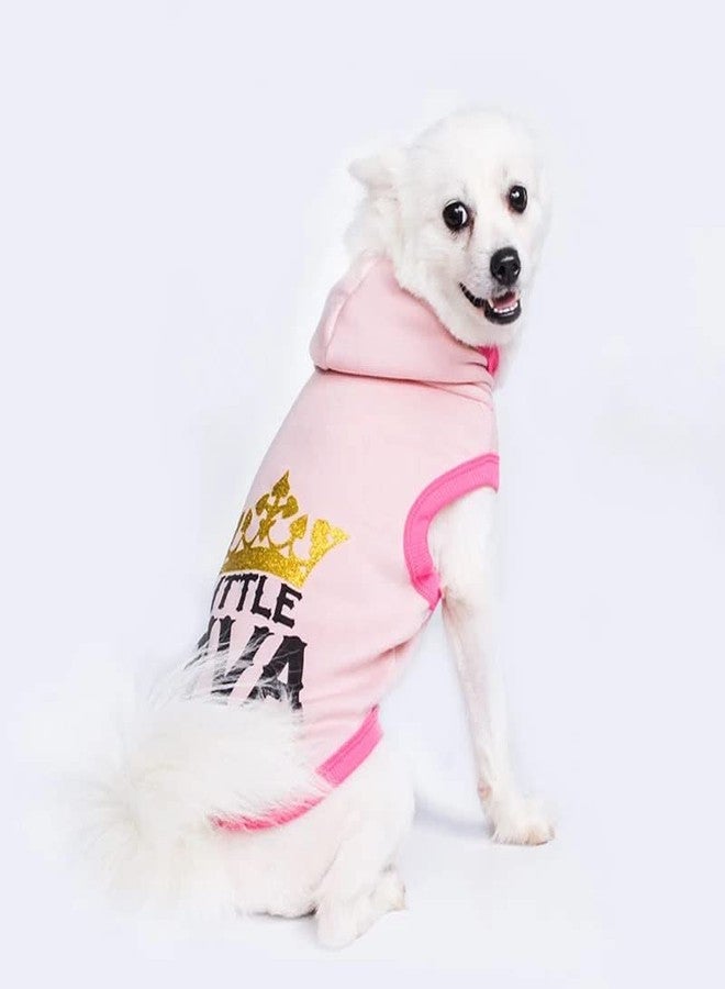 PETANGEL Polycotton Small Dog Hoodie | Spring and Autumn Casual Sports Little Diva Hoodie with Cap for Small Dogs, Puppies Cats, Small Dog Clothes Sweater Winter Sweatshirt Hoodie (Size: L) - Image 2