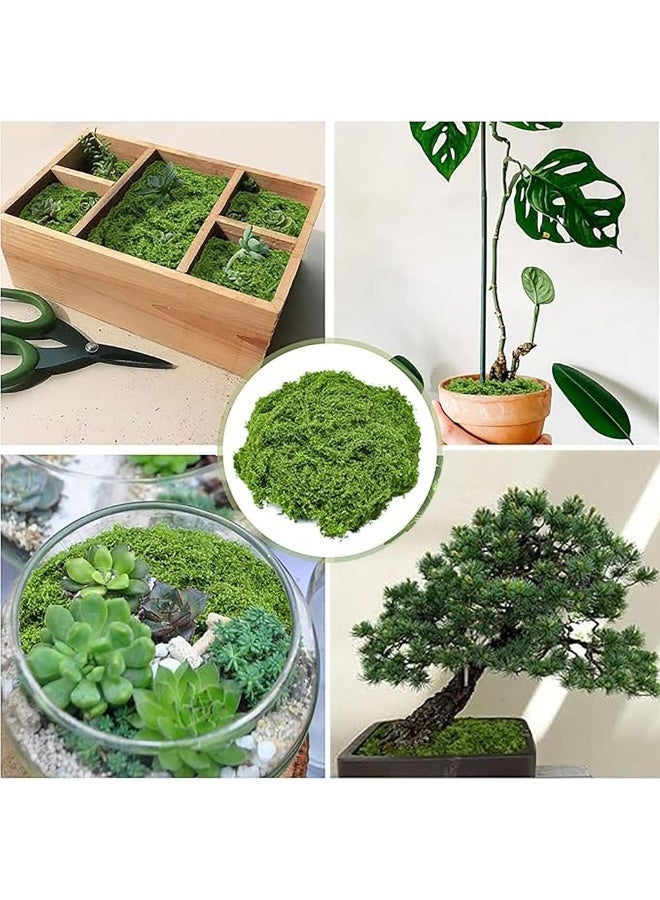 Fake Moss Faux Moss For Plants Indoor Fake Green For Potted Plants 7OZ Decor Artificial Faux Crafts Preserved DIY Dective Table Centerpieces Decor Garden Fll Wedding - Image 3