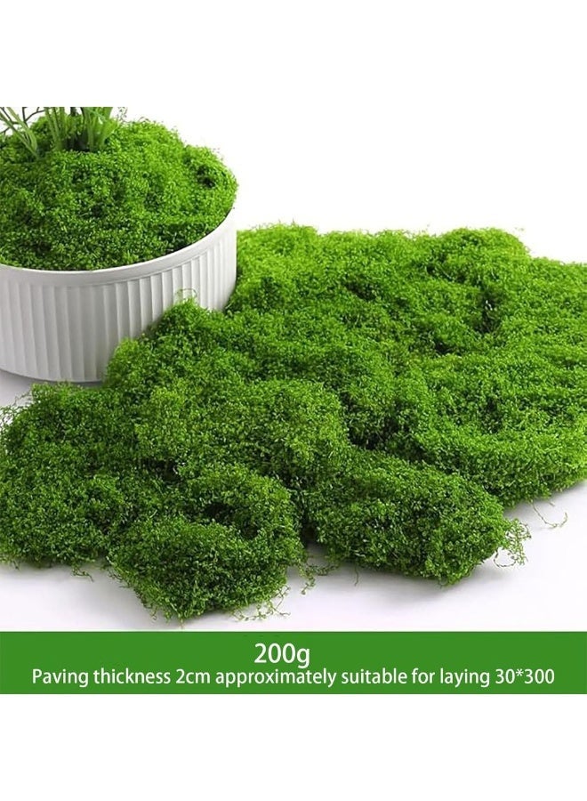 Fake Moss Faux Moss For Plants Indoor Fake Green For Potted Plants 7OZ Decor Artificial Faux Crafts Preserved DIY Dective Table Centerpieces Decor Garden Fll Wedding - Image 2