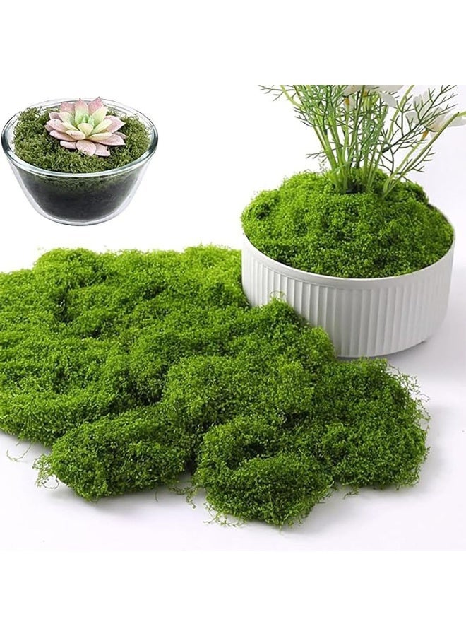 Fake Moss Faux Moss For Plants Indoor Fake Green For Potted Plants 7OZ Decor Artificial Faux Crafts Preserved DIY Dective Table Centerpieces Decor Garden Fll Wedding - Image 1