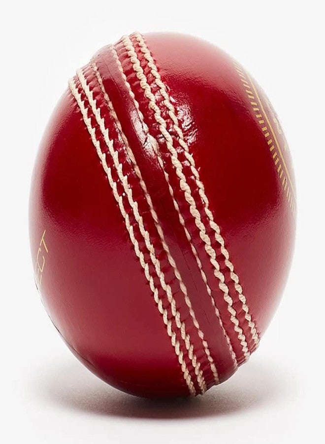 CABRIO Leather 4Panal 40+ Over Cricket Ball for Tournament and Club Matches Ball - Image 2
