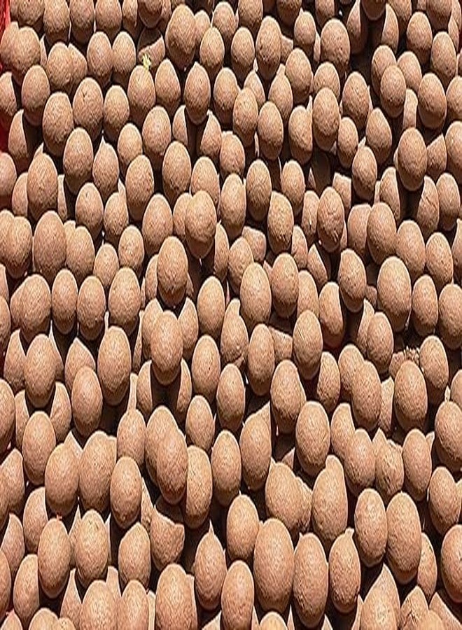 Awadh Clay Made Biodegradable Marbles for Adult Terracotta Round Clay Pebble (Pack of 150) Mitti Ki Goti, Mitti goli (15mm) [ Slingshot Clay Balls ] Colour red - Image 2