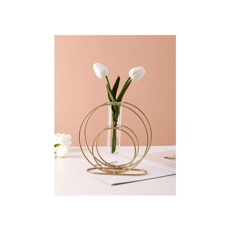SOLARAE Glass Flower Vase with Metal Frame Stand Modern Creative Geometry Desktop Glass Planter Indoor Décor Hydroponics Plants for Home Desktop Office Garden Wedding Decor - Image 1