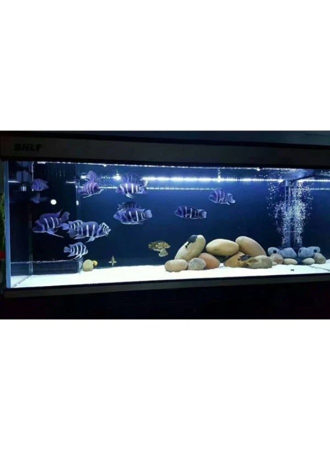 أحجار كهف للاختباء والتكاثر الطبيعي للروبيان والسيشليد والبيتا - 3 أحجام - Image 4