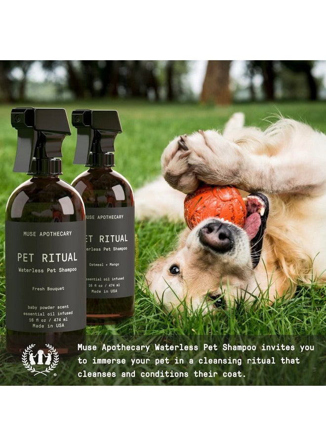 ميوس ابيثيكاري شامبو عطري بدون ماء من Muse Apothecary Pet Ritual للحيوانات الأليفة - شامبو بدون شطف للكلاب - شامبو بدون ماء للقطط - شامبو بدون ماء للكلاب الكبيرة - غني بالزيوت الأساسية، 16 أونصة برائحة حقول اللافندر  - Image 2