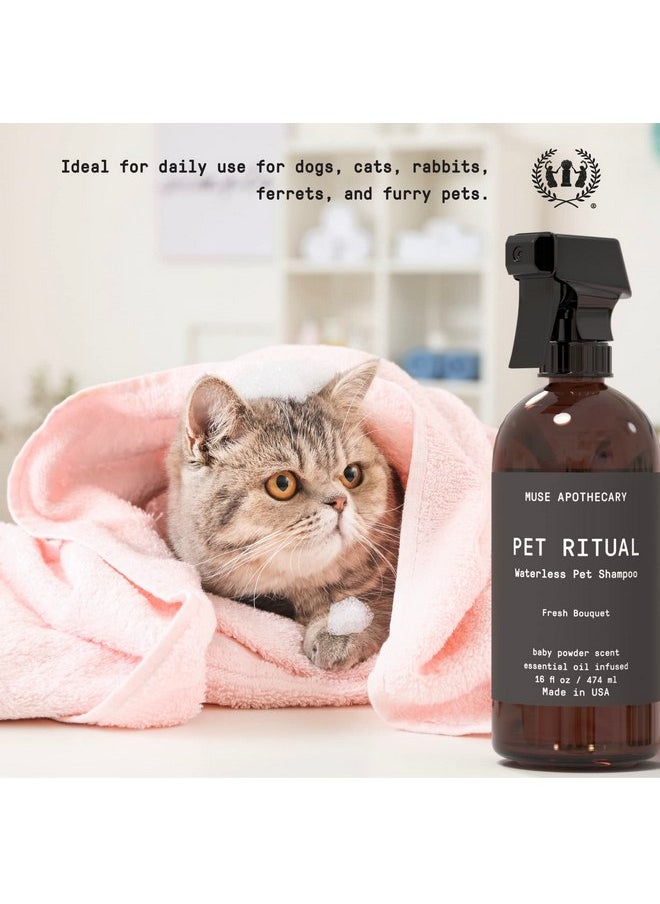 ميوس ابيثيكاري شامبو عطري بدون ماء من Muse Apothecary Pet Ritual للحيوانات الأليفة - شامبو بدون شطف للكلاب - شامبو بدون ماء للقطط - شامبو بدون ماء للكلاب الكبيرة - غني بالزيوت الأساسية، 16 أونصة برائحة حقول اللافندر  - Image 5
