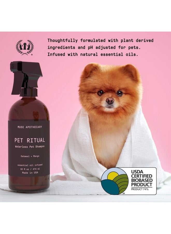 ميوس ابيثيكاري شامبو عطري بدون ماء من Muse Apothecary Pet Ritual للحيوانات الأليفة - شامبو بدون شطف للكلاب - شامبو بدون ماء للقطط - شامبو بدون ماء للكلاب الكبيرة - غني بالزيوت الأساسية، 16 أونصة برائحة حقول اللافندر  - Image 3