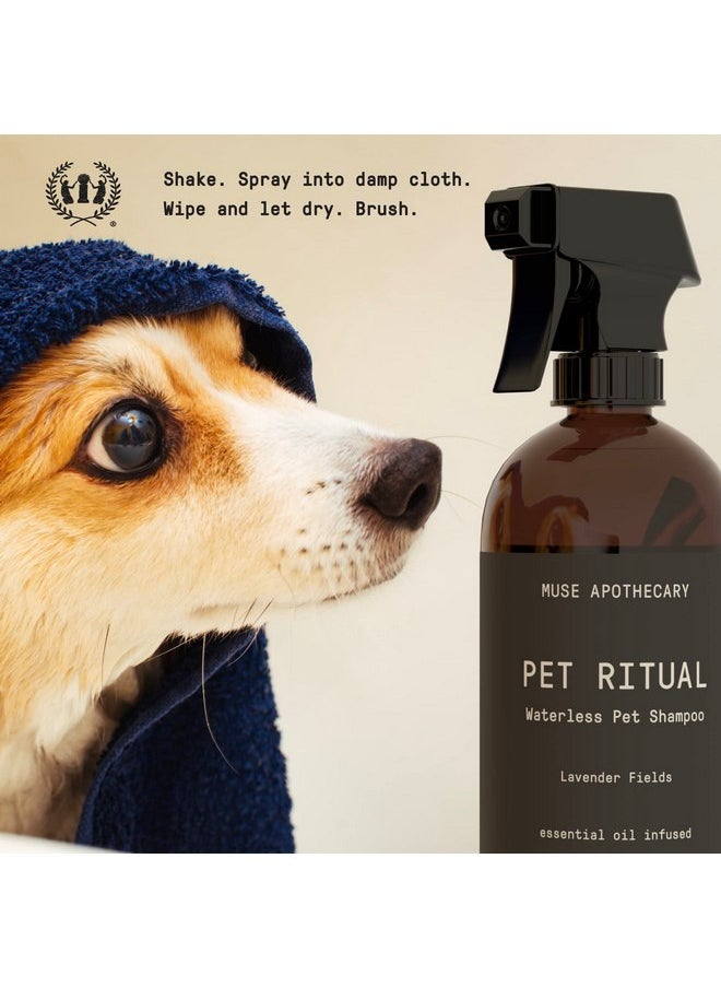 ميوس ابيثيكاري شامبو عطري بدون ماء من Muse Apothecary Pet Ritual للحيوانات الأليفة - شامبو بدون شطف للكلاب - شامبو بدون ماء للقطط - شامبو بدون ماء للكلاب الكبيرة - غني بالزيوت الأساسية، 16 أونصة برائحة حقول اللافندر  - Image 4