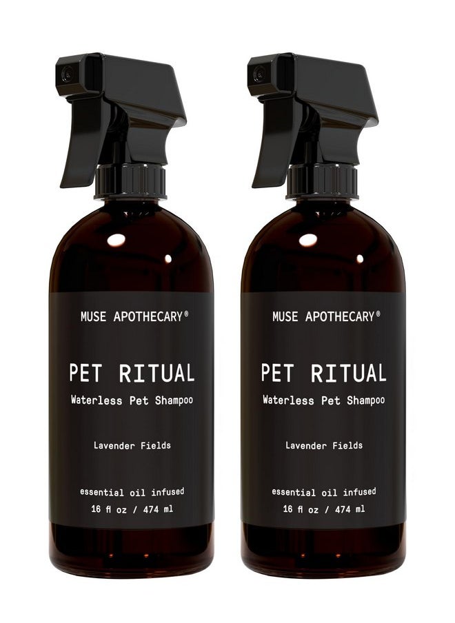 ميوس ابيثيكاري شامبو عطري بدون ماء من Muse Apothecary Pet Ritual للحيوانات الأليفة - شامبو بدون شطف للكلاب - شامبو بدون ماء للقطط - شامبو بدون ماء للكلاب الكبيرة - غني بالزيوت الأساسية، 16 أونصة برائحة حقول اللافندر  - Image 1