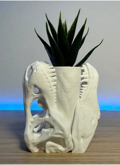 3D Brothers Dinosaur Skull Flower Vase  - Image 3