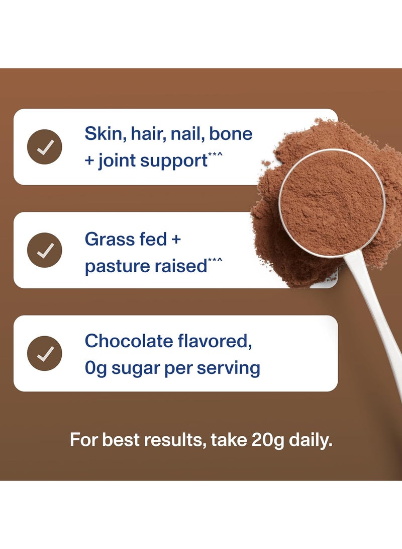 Vital Proteins مسحوق ببتيدات الكولاجين، يعزز صحة الشعر والأظافر والبشرة والعظام والمفاصل، شوكولاتة، 13.5 أونصة، عبوة من قطعة واحدة - Image 3