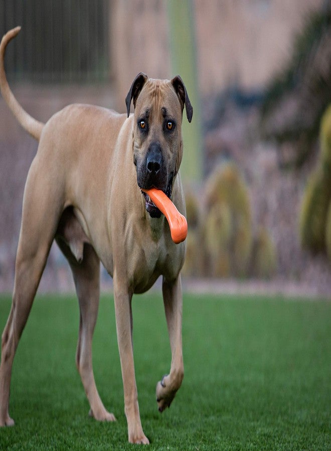 Jolly Pets 9-inch, Jolly Bone, Orange, Large - Image 2