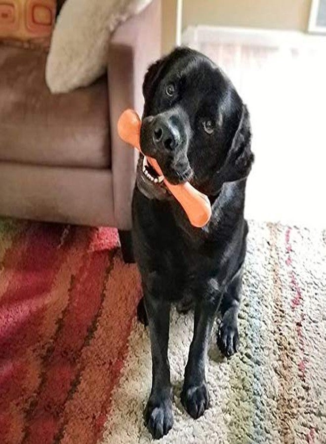 Jolly Pets 9-inch, Jolly Bone, Orange, Large - Image 3