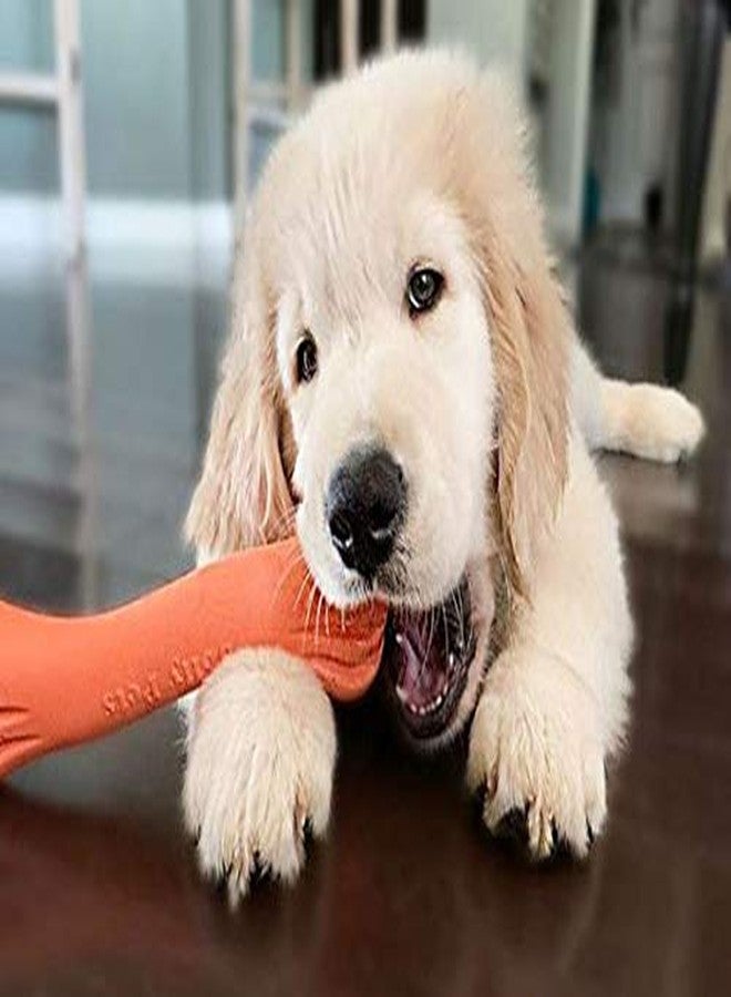 Jolly Pets 9-inch, Jolly Bone, Orange, Large - Image 4