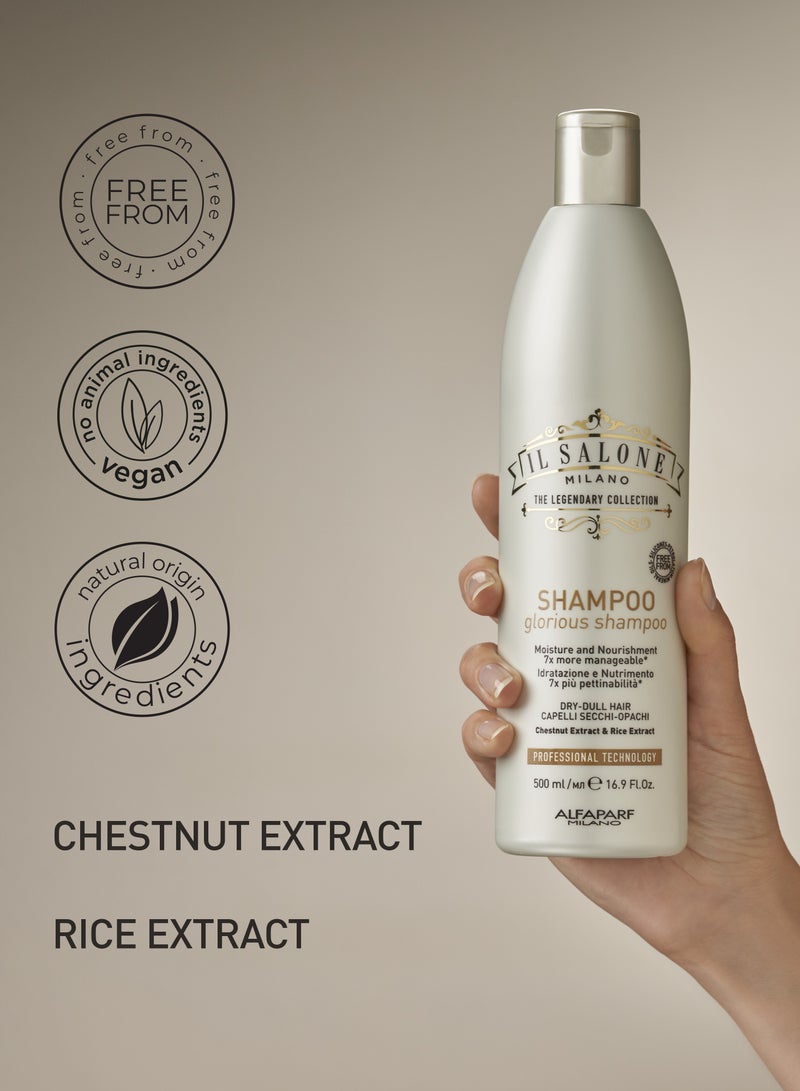 IL SALONE Shampoo With Protein For Dry And Damaged Hair 500Ml - Image 2